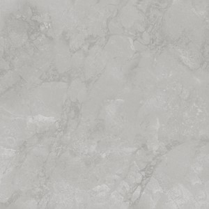 OMEGA GREY 60X60 M G1