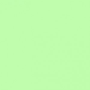 RAL 1509010 ( zielony glass) G1