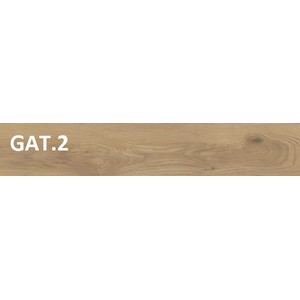 TAIGA HONEY 20X120 M GAT.2
