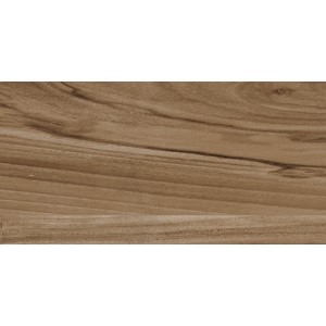 EMO WOOD BROWN 30X60 RECT G1